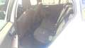 Ford Focus Turnier 1,5 EcoBlue Active X Aut. Weiß - thumbnail 16