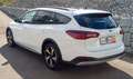 Ford Focus Turnier 1,5 EcoBlue Active X Aut. Weiß - thumbnail 4