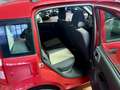 Fiat Panda 1.2 Dynamic PERFETTE CONDIZIONI - thumbnail 11