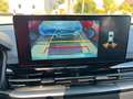 SsangYong Musso BLACK LINE 4WD 3t AHK, DIFFSPERRE, WKR Grün - thumbnail 7