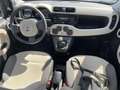 Fiat Panda 1.2 K-Way Blanco - thumbnail 6