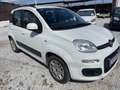 Fiat Panda 1.2 K-Way Blanco - thumbnail 2