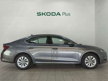 1.5 TSI MHEV Selection DSG7 110kW