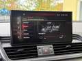 Audi Q5 40 TDI quattro Virtual-Kamera-ACC-Leder-LED Schwarz - thumbnail 17