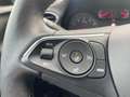 Opel Grandland X 1.2 Turbo Business Executive-Carplay-PDC-Stoelverw Rood - thumbnail 24