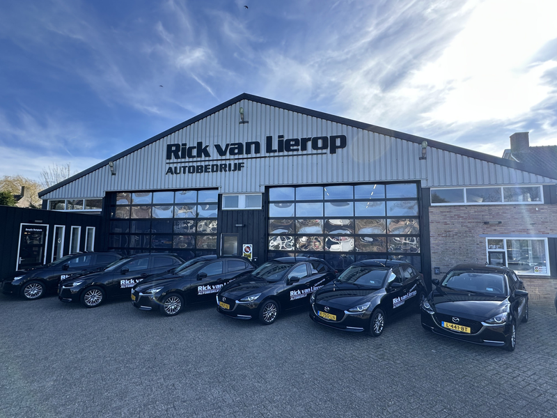 BMW X7 M50d High Executive 7p | Pano | H&K | 22'' | Head- — photo 6
