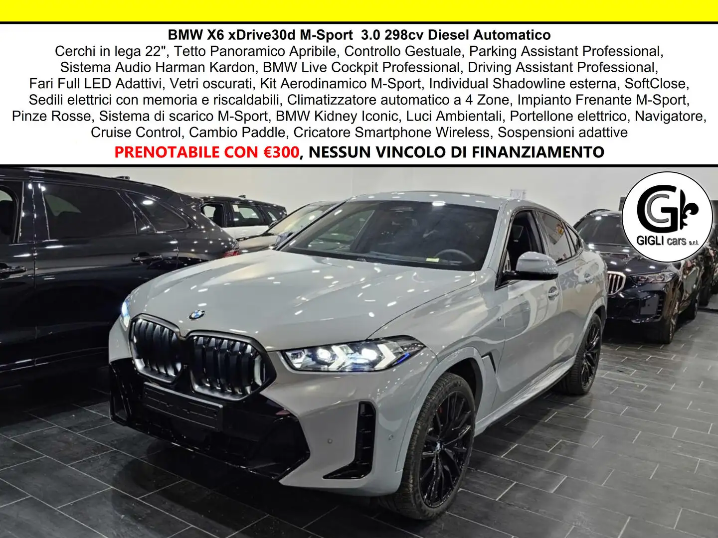 BMW X6 M-Sport C.22 Tetto Navi CAM360 HarmanKardon MSport Gris - 1