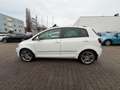 Volkswagen Golf Plus VI Highline*KAMERA*LEDER*AUTOMATIK* Weiß - thumbnail 8