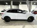 Porsche Cayenne E-Hybrid Aut. Blanco - thumbnail 5