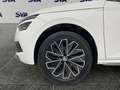 Skoda Kamiq 1.0 Tsi 110CV Style Bianco - thumbnail 6