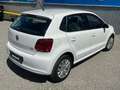 Volkswagen Polo 1.2TDI Trendline **1-Besitz*Finanzierung*Klima** Weiß - thumbnail 6