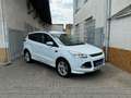 Ford Kuga 2.0TDCi Individual*Autom.*Navi+R*EU6*2.Hd. Weiß - thumbnail 1