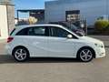 Mercedes-Benz B 200 CDI *XENON*NAVI*PDC*TOP ZUSTAND*1.HAND* Weiß - thumbnail 8