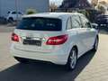 Mercedes-Benz B 200 CDI *XENON*NAVI*PDC*TOP ZUSTAND*1.HAND* Weiß - thumbnail 7