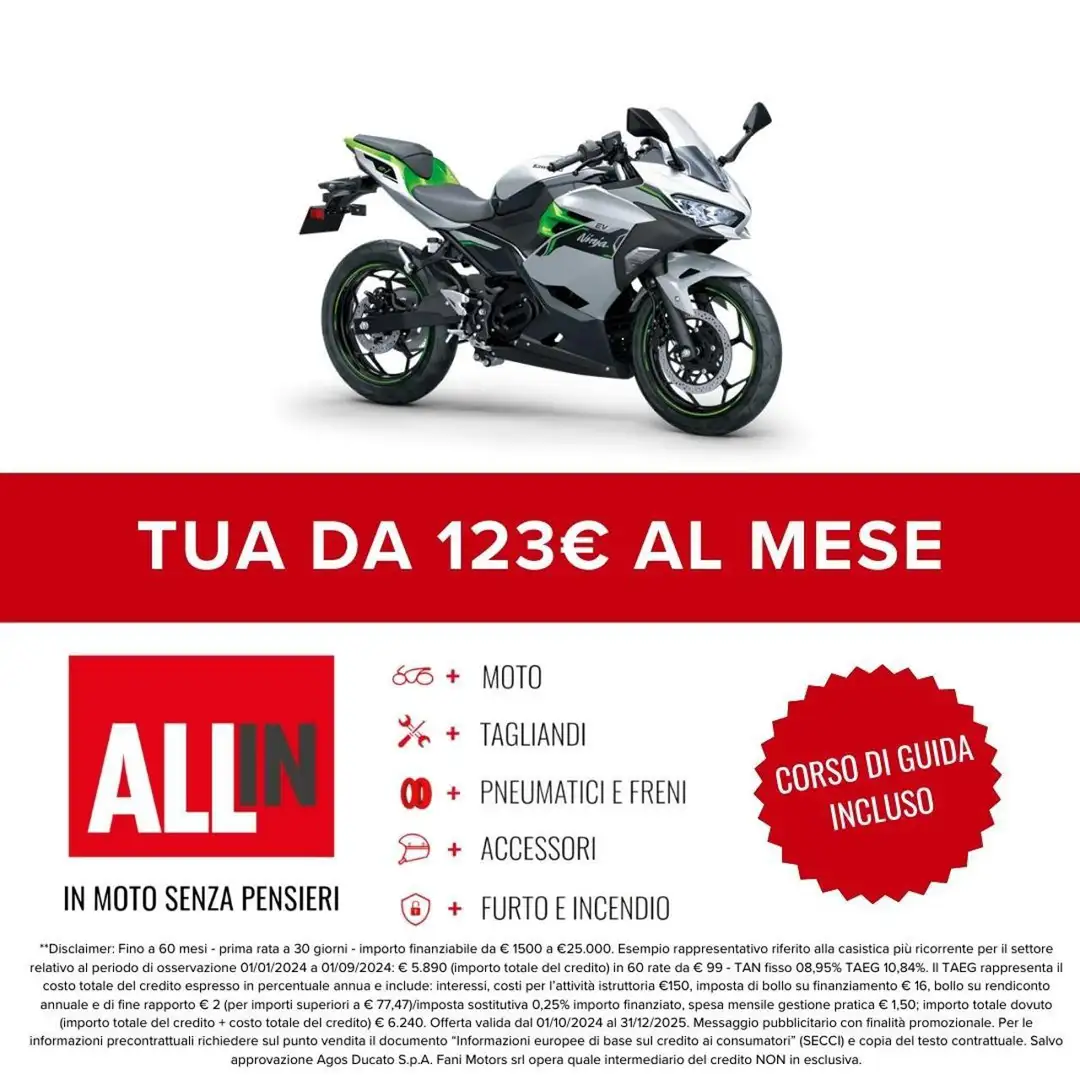 Kawasaki 2025 Grigio - 2