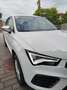 SEAT Ateca Ateca 1,0 Reference Eco TSI Reference Weiß - thumbnail 8