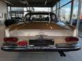 Mercedes-Benz 250 MB 250SC/ C COUPR / 111 Gold - thumbnail 5