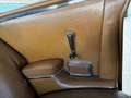 Mercedes-Benz 250 MB 250SC/ C COUPR / 111 Gold - thumbnail 19