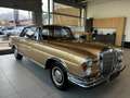 Mercedes-Benz 250 MB 250SC/ C COUPR / 111 Gold - thumbnail 8