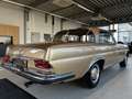 Mercedes-Benz 250 MB 250SC/ C COUPR / 111 Gold - thumbnail 7