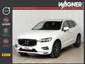 Volvo XC60 T8 AWD Recharge Inscription *360° * Bowers* Weiß - thumbnail 1