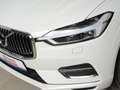 Volvo XC60 T8 AWD Recharge Inscription *360° * Bowers* Weiß - thumbnail 6