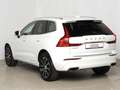 Volvo XC60 T8 AWD Recharge Inscription *360° * Bowers* Weiß - thumbnail 4