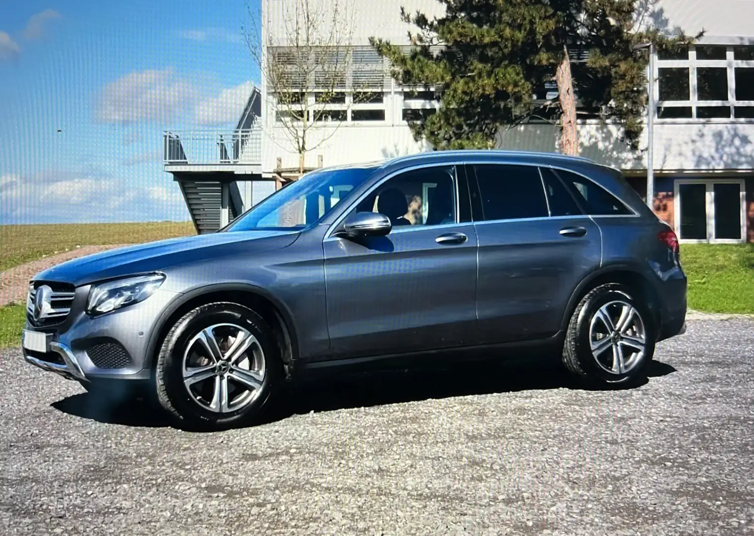 Mercedes-Benz GLC 250 GLC 250d 4Matic Aut. Gris - 2