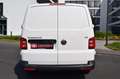 Volkswagen T6 Transporter KÜHLWAGEN Frischdienst 3 Grad Blanc - thumbnail 5