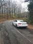 Audi A5 A5 Coupe 2.7 V6 tdi Ambition multitronic Bianco - thumbnail 3