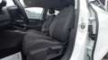 Volkswagen Golf 2.0 TDI 115CV ACTIVE Bianco - thumbnail 6