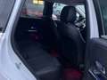 Mercedes-Benz B 250 B250 E 8G-DCT Progressive-360°CAM-TOTWKNL-SPUR- Argent - thumbnail 17
