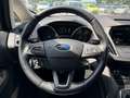 Ford C-Max BusinessEdition*PDC*LHZ*SHZ*FSH*Navi*Tempo Ezüst - thumbnail 12