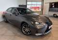 Lexus IS 300 300h HYBRIDE E-CVT 223cv-BVA-2020 Grau - thumbnail 2