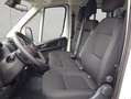 Toyota Proace Max 2.2-l-D 35 L3H1 Heavy Work (Diesel) Blanco - thumbnail 7