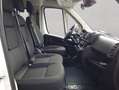Toyota Proace Max 2.2-l-D 35 L3H1 Heavy Work (Diesel) Blanc - thumbnail 13