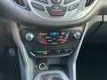 Ford B-Max B-MAX 1.0 EcoBoost SYNC Edition Bronze - thumbnail 21