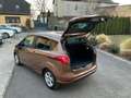 Ford B-Max B-MAX 1.0 EcoBoost SYNC Edition Bronze - thumbnail 9