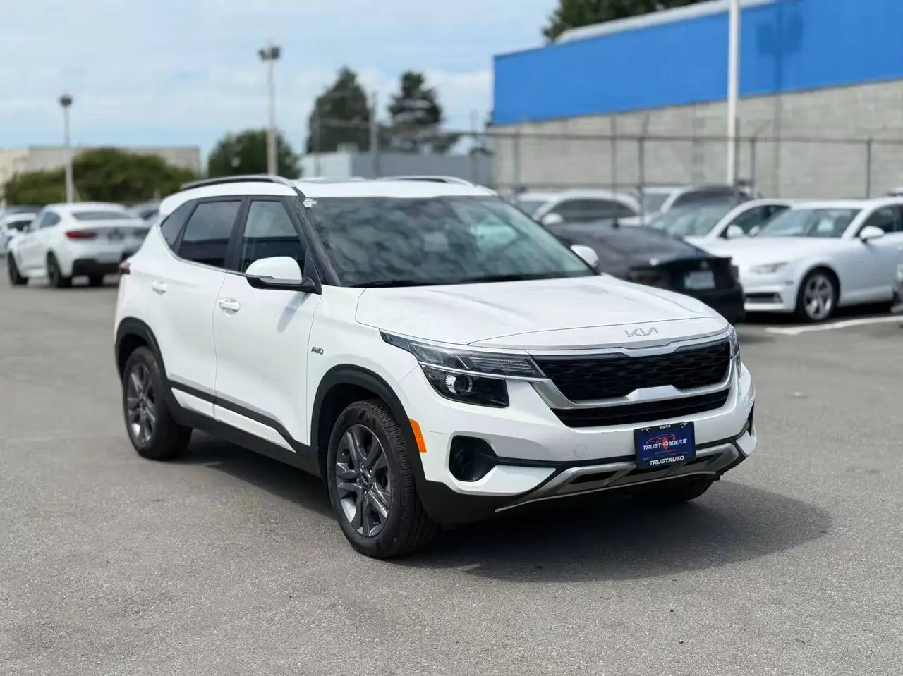 Kia Seltos photo Kia Seltos