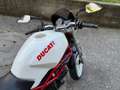 Ducati Monster 600 Ducati Monster 600 Blanco - thumbnail 7