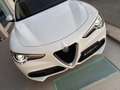 Alfa Romeo Stelvio 2.2 Turbodiesel 190 CV AT8 Q4 Business Bianco - thumbnail 38