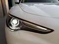 Alfa Romeo Stelvio 2.2 Turbodiesel 190 CV AT8 Q4 Business Bianco - thumbnail 36
