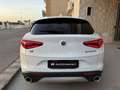 Alfa Romeo Stelvio 2.2 Turbodiesel 190 CV AT8 Q4 Business Bianco - thumbnail 6