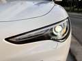 Alfa Romeo Stelvio 2.2 Turbodiesel 190 CV AT8 Q4 Business Bianco - thumbnail 37