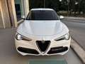 Alfa Romeo Stelvio 2.2 Turbodiesel 190 CV AT8 Q4 Business Bianco - thumbnail 2