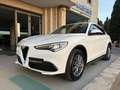 Alfa Romeo Stelvio 2.2 Turbodiesel 190 CV AT8 Q4 Business Bianco - thumbnail 1