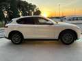 Alfa Romeo Stelvio 2.2 Turbodiesel 190 CV AT8 Q4 Business Bianco - thumbnail 4