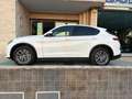 Alfa Romeo Stelvio 2.2 Turbodiesel 190 CV AT8 Q4 Business Bianco - thumbnail 8