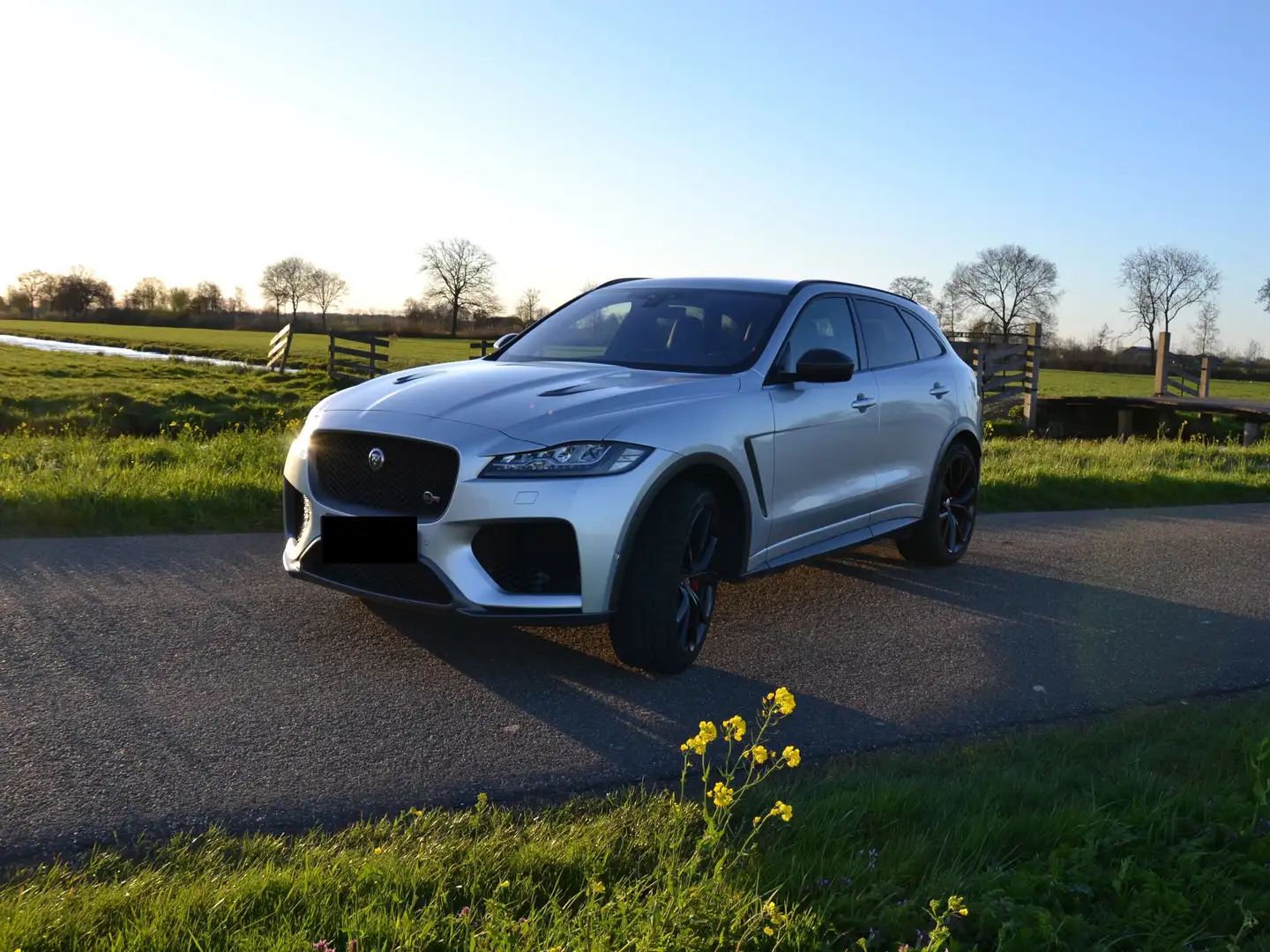 Jaguar F-Pace F-Pace AWD SVR Silber - 2