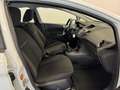 Ford Fiesta Fiesta 5p 1.2 60cv NEOPATENTATI UNIPROP. 70.000 KM Bianco - thumbnail 12